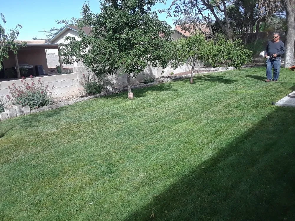 Professional landscaping services experts serving Albuquerque, NM - High Quality landscapes