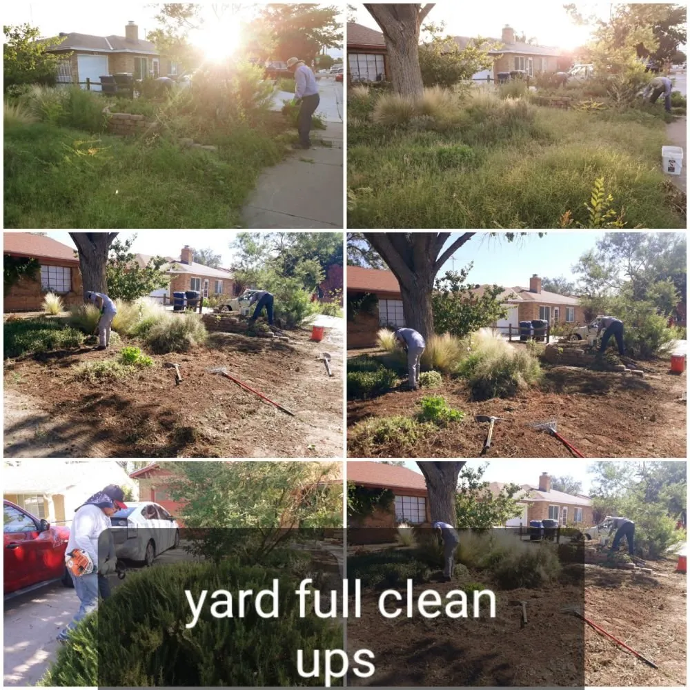 Custom landscape design in Albuquerque, NM by High Quality landscapes