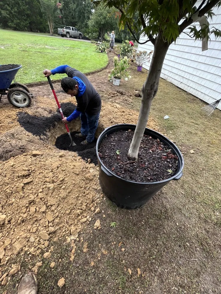 Local landscape design in Williamsburg, VA - High Quality Landscaping Service