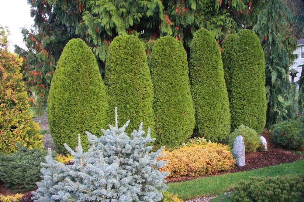 Local landscape installation for residential properties across Oak Park, MI - High Quality Lawn Care & Landscape