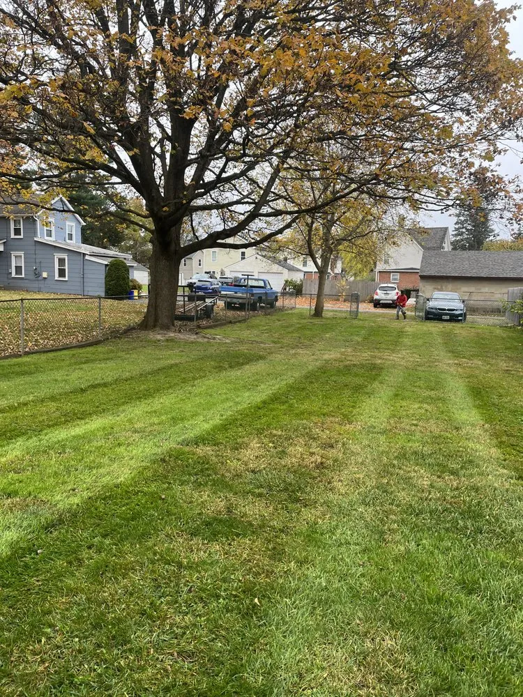 Trusted yard maintenance for year-round maintenance in North Plainfield, NJ by High Quality Lawn Cervices