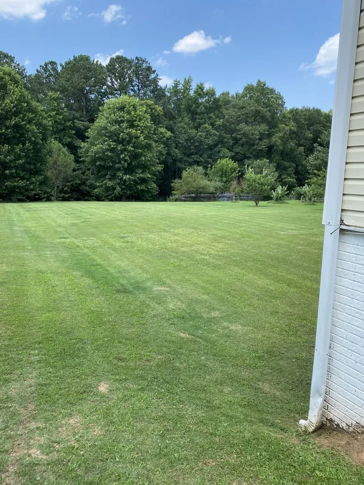 Affordable lawn care service in Fayetteville, GA - High Quality Lawn Maintenance