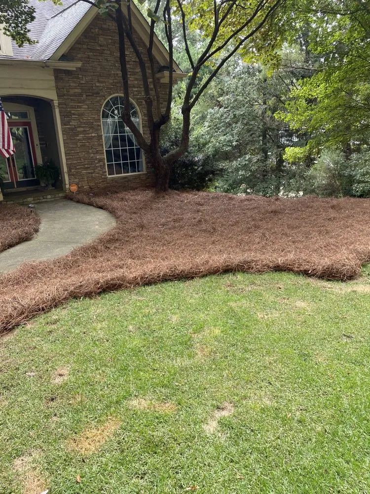 Custom lawn care service experts serving Fayetteville, GA - High Quality Lawn Maintenance