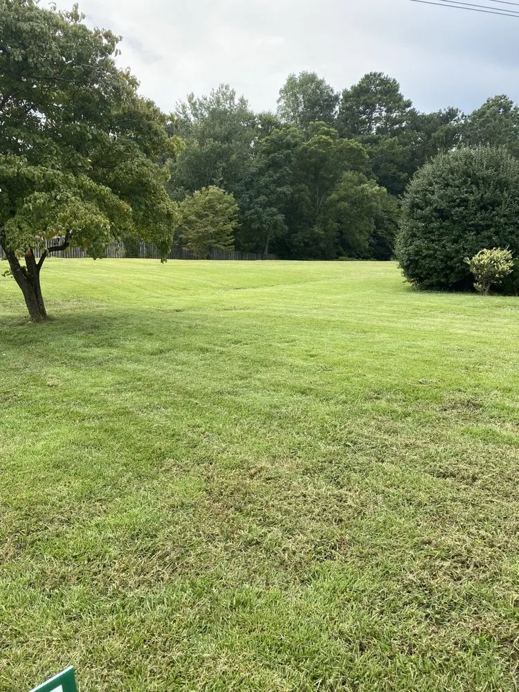 Custom landscape installation for outdoor upgrades across Fayetteville, GA - High Quality Lawn Maintenance
