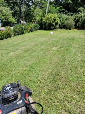 High Quality Lawn Service Logo