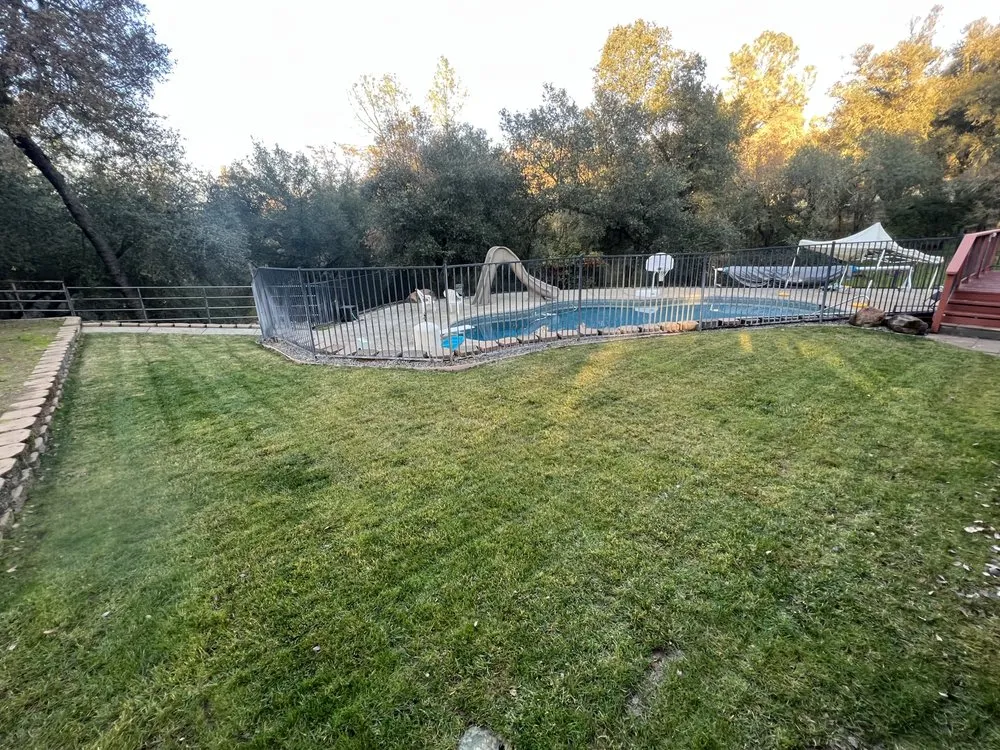 Affordable landscaping services for homes across Placerville, CA - High-rise landscaping