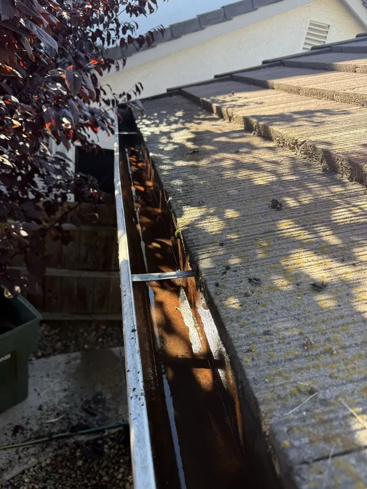 Top-rated yard cleanup service for homes in Modesto, CA by High Shine Exterior Cleaning