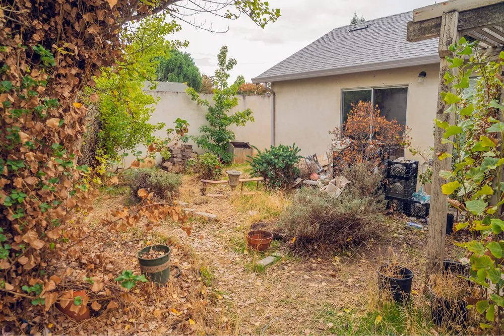 Custom yard cleanup service for outdoor upgrades in Modesto, CA by High Shine Exterior Cleaning