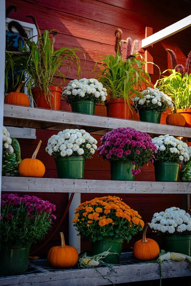 Reliable landscaping services near you in Park Ridge, NJ by High Sierra Landscape Contractors