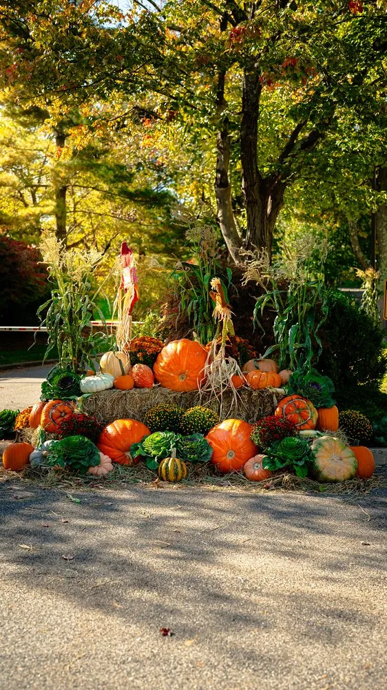 Expert lawn mowing service experts serving Park Ridge, NJ - High Sierra Landscape Contractors