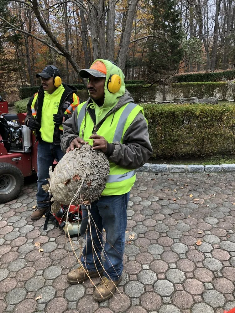 Local yard cleanup service for beautiful yards across Park Ridge, NJ - High Sierra Landscape Contractors