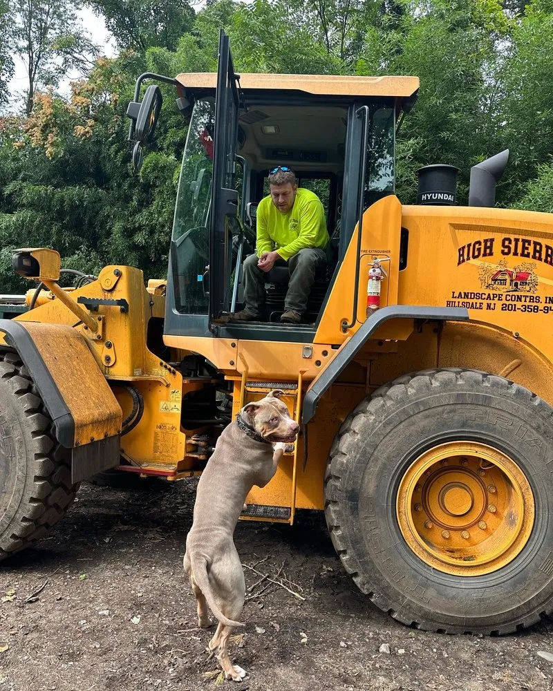 Trusted landscaping services for homes across Park Ridge, NJ - High Sierra Landscape Contractors