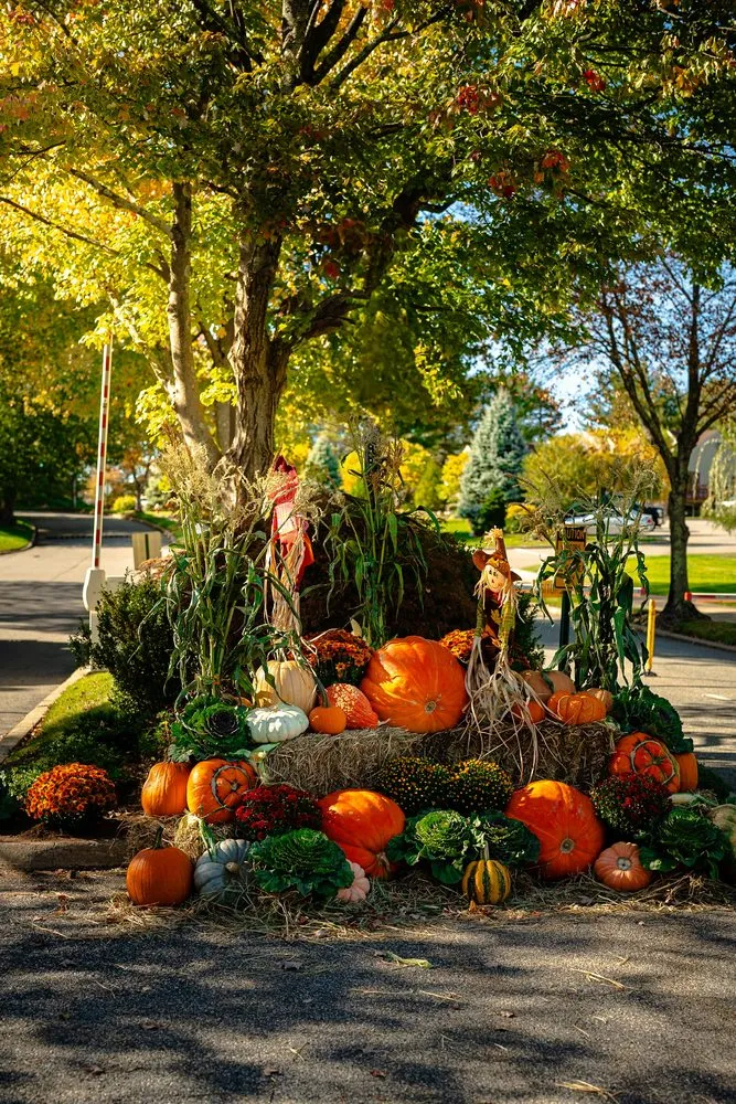 Custom yard cleanup service in Park Ridge, NJ by High Sierra Landscape Contractors