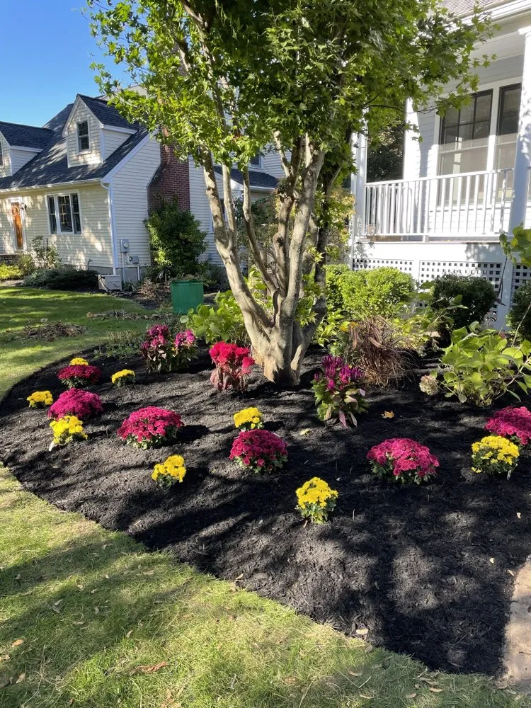 Top-rated yard cleanup service in Concord, MA - High St. Lawn Unlimited