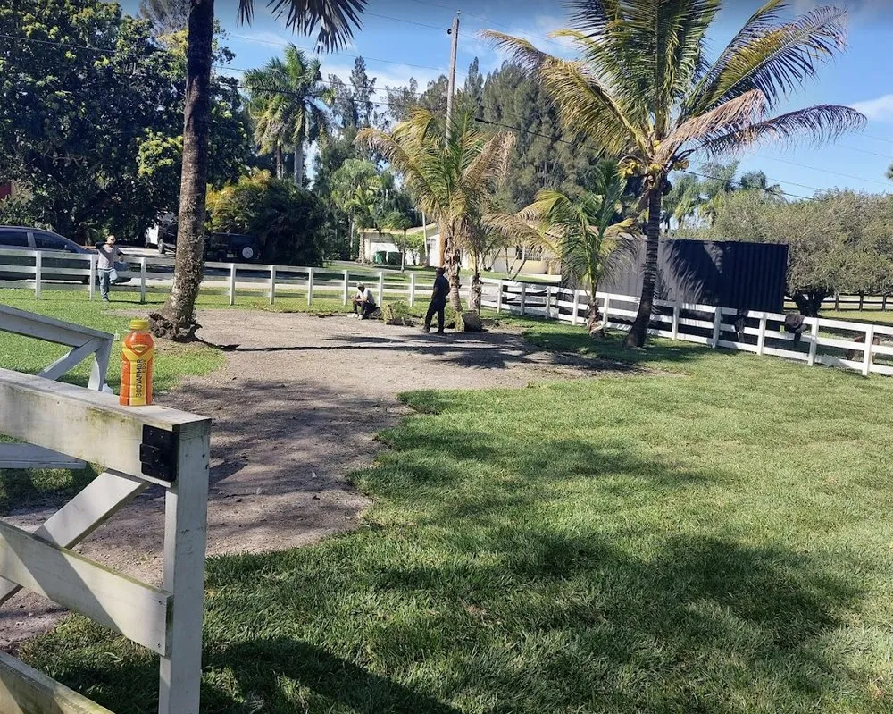 Reliable yard cleanup service for beautiful yards across Hollywood, FL - High Standards Tree Care