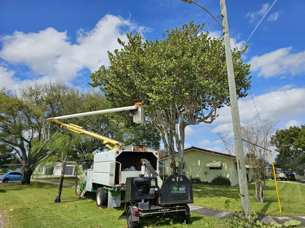 Professional lawn care service experts serving Hollywood, FL - High Standards Tree Care