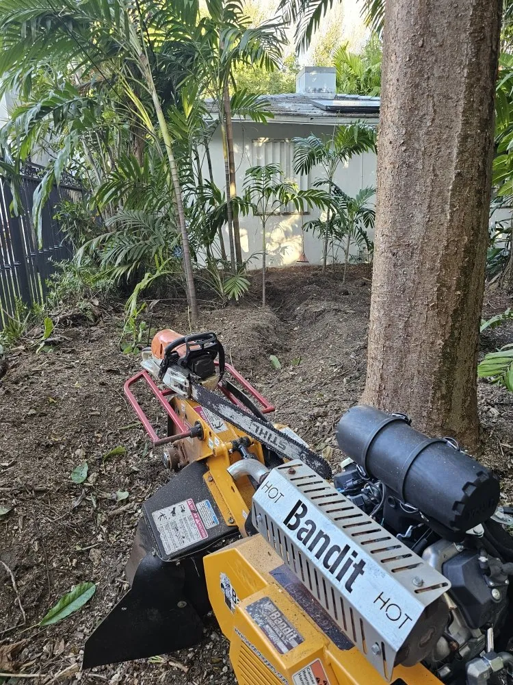 Affordable lawn care service in Hollywood, FL - High Standards Tree Care