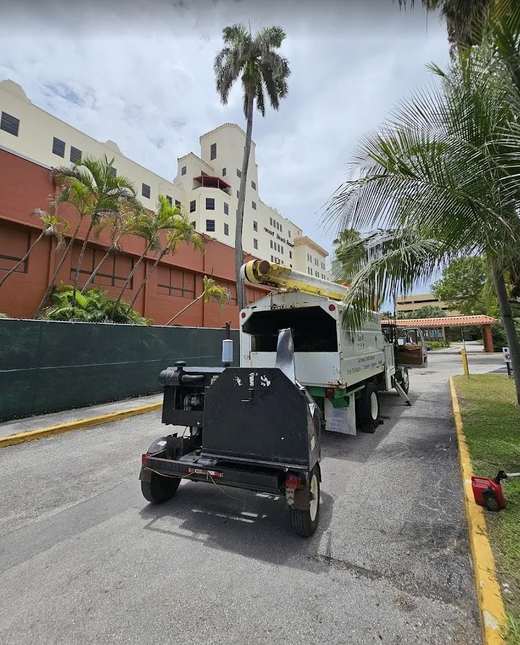 Top-rated outdoor landscaping experts serving Hollywood, FL - High Standards Tree Care