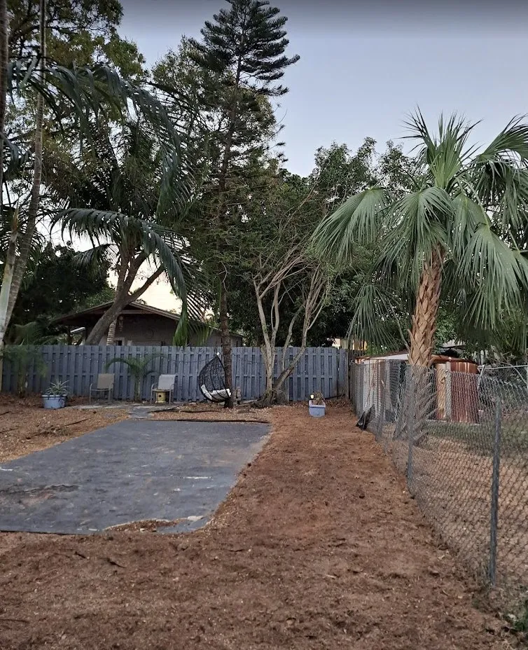Expert residential landscaping in Hollywood, FL by High Standards Tree Care