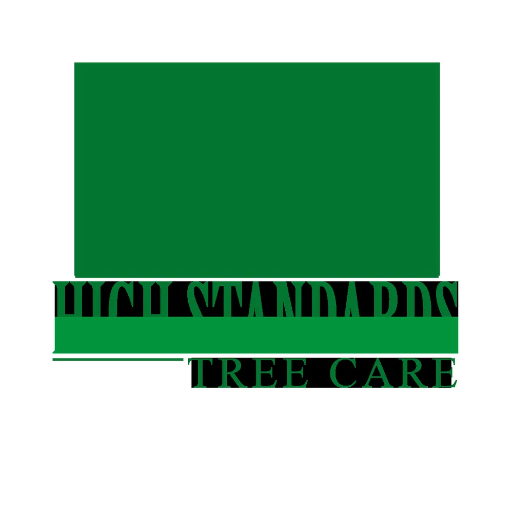 Local outdoor landscaping experts serving Hollywood, FL - High Standards Tree Care