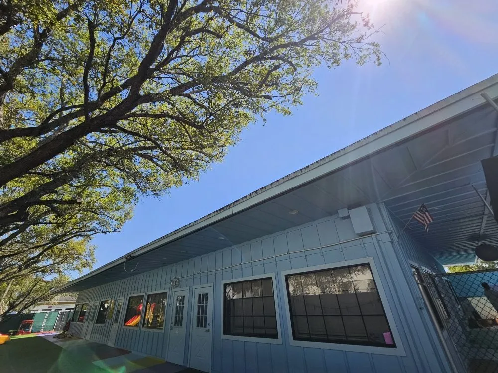 Affordable outdoor landscaping in Hollywood, FL - High Standards Tree Care