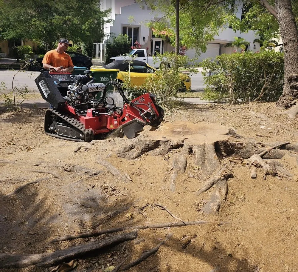 Trusted lawn mowing service in Hollywood, FL - High Standards Tree Care