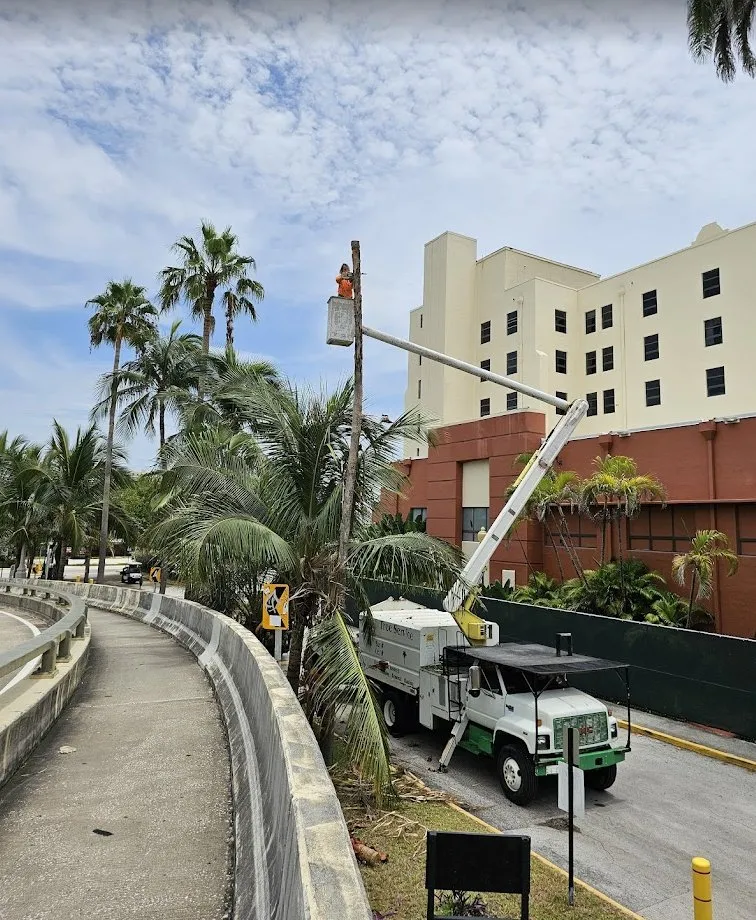 Expert landscaping services in Hollywood, FL by High Standards Tree Care