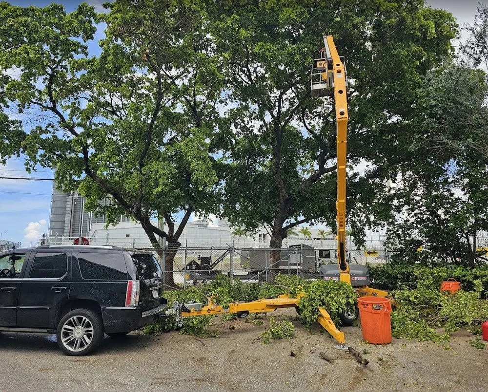 Top-rated landscaping services in Hollywood, FL - High Standards Tree Care