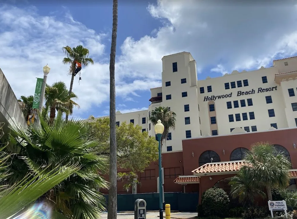 Trusted yard maintenance in Hollywood, FL by High Standards Tree Care