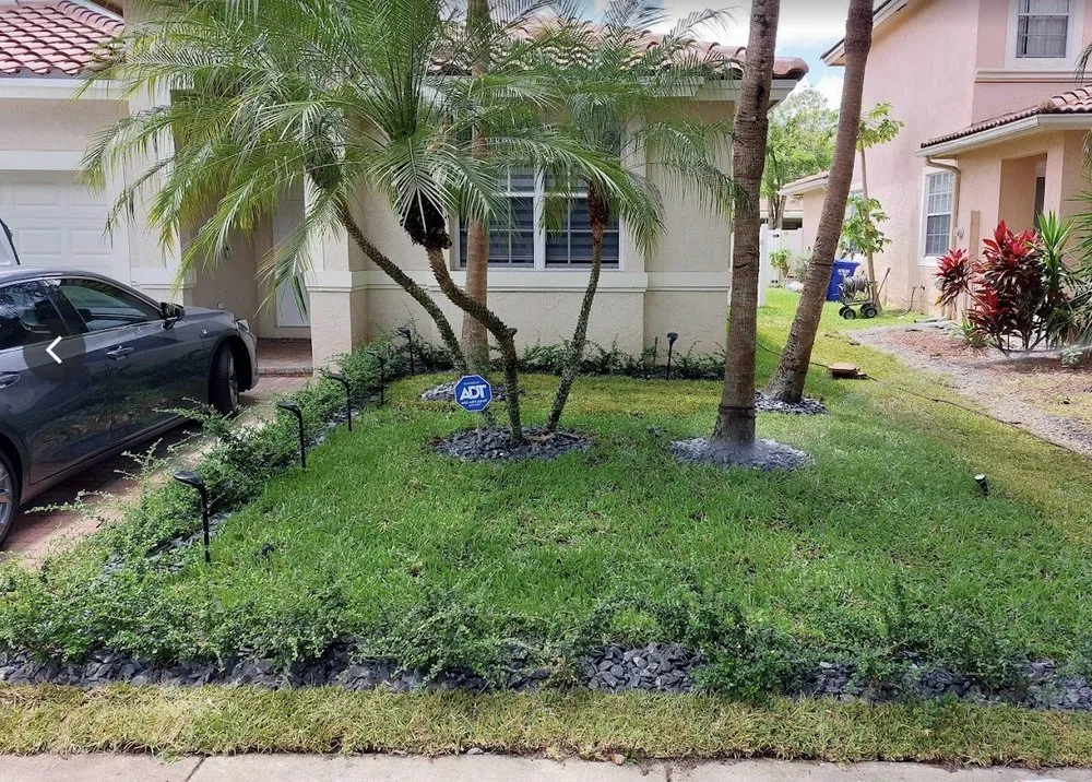 Local yard cleanup service with custom design across Hollywood, FL - High Standards Tree Care