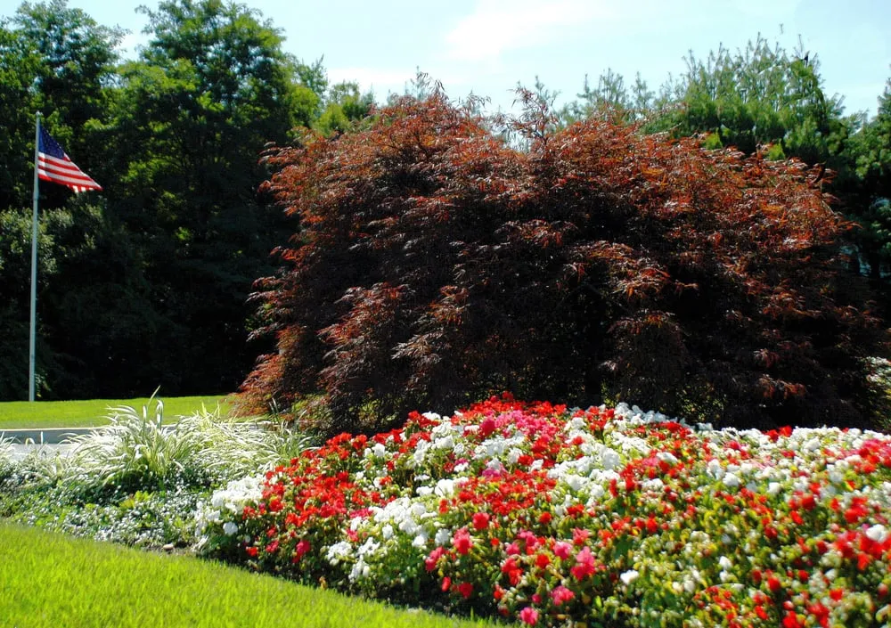 Professional outdoor landscaping in Branchburg, NJ - High Tech Landscapes