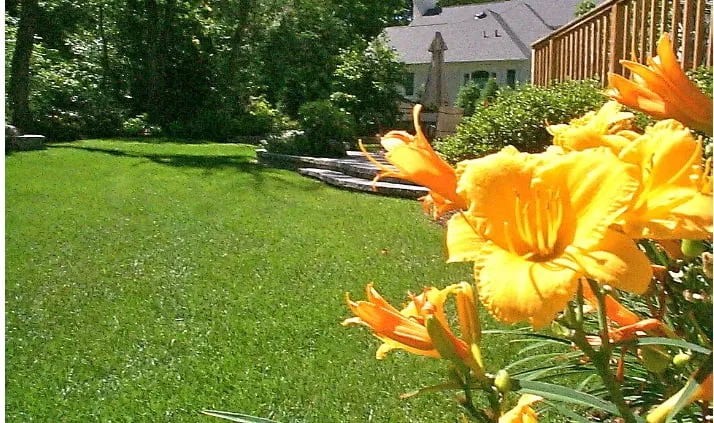 Custom outdoor landscaping experts serving Branchburg, NJ - High Tech Landscapes