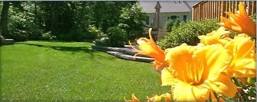 Reliable lawn mowing service for homes across Branchburg, NJ - High Tech Landscapes