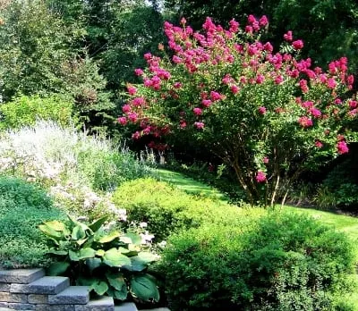 Top-rated lawn care service in Branchburg, NJ by High Tech Landscapes