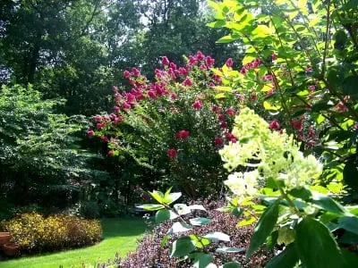 Affordable landscaping services for outdoor upgrades in Branchburg, NJ by High Tech Landscapes