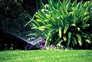 Professional residential landscaping with custom design in Branchburg, NJ by High Tech Landscapes