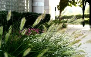 Reliable yard cleanup service in Branchburg, NJ by High Tech Landscapes