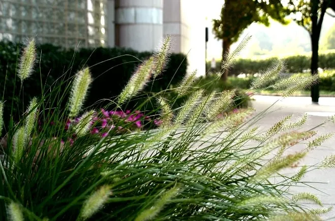 Professional landscape design for outdoor upgrades across Branchburg, NJ - High Tech Landscapes