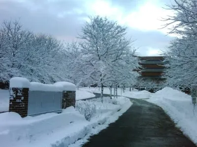 Local landscape design near you in Branchburg, NJ by High Tech Landscapes