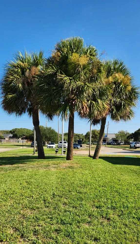 Local garden landscaping experts serving Fulton, TX - High Tide Lawn Care and Services