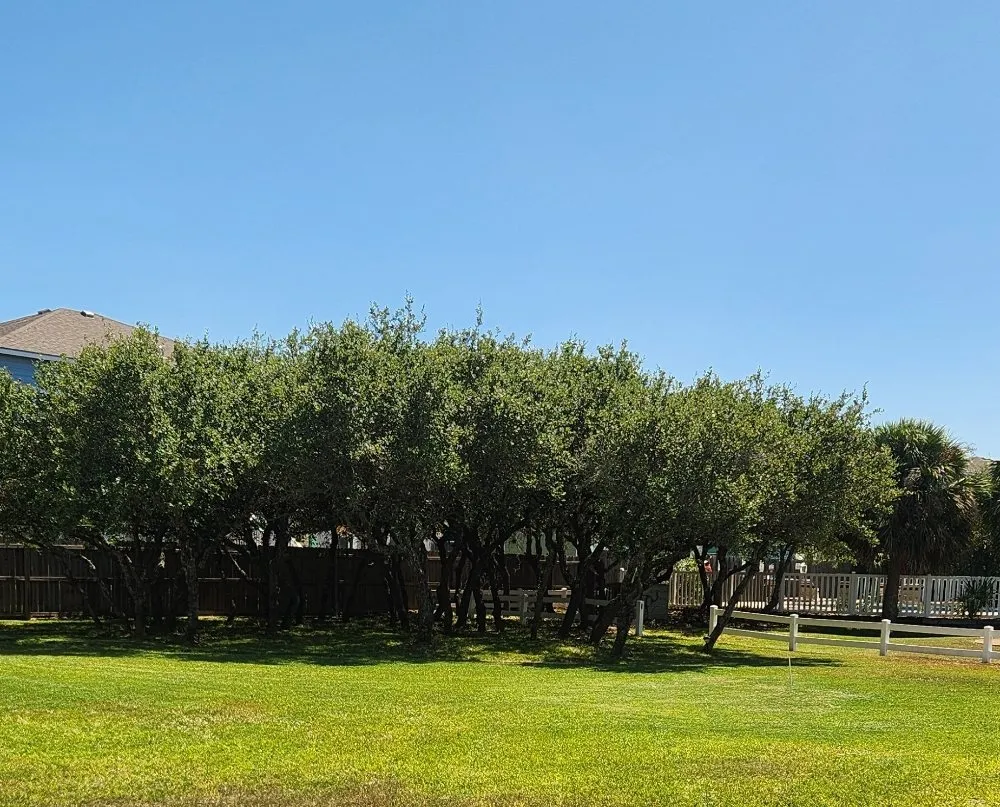 Reliable yard maintenance experts serving Fulton, TX - High Tide Lawn Care and Services