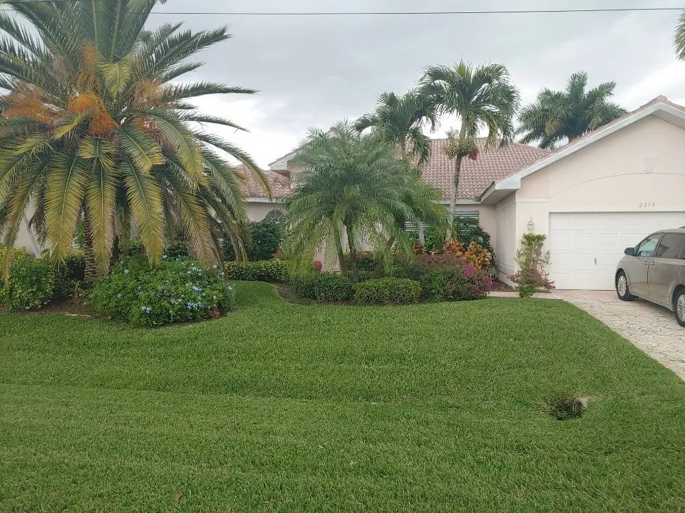 Affordable landscaping services in Cape Coral, FL by High Tide Lawns