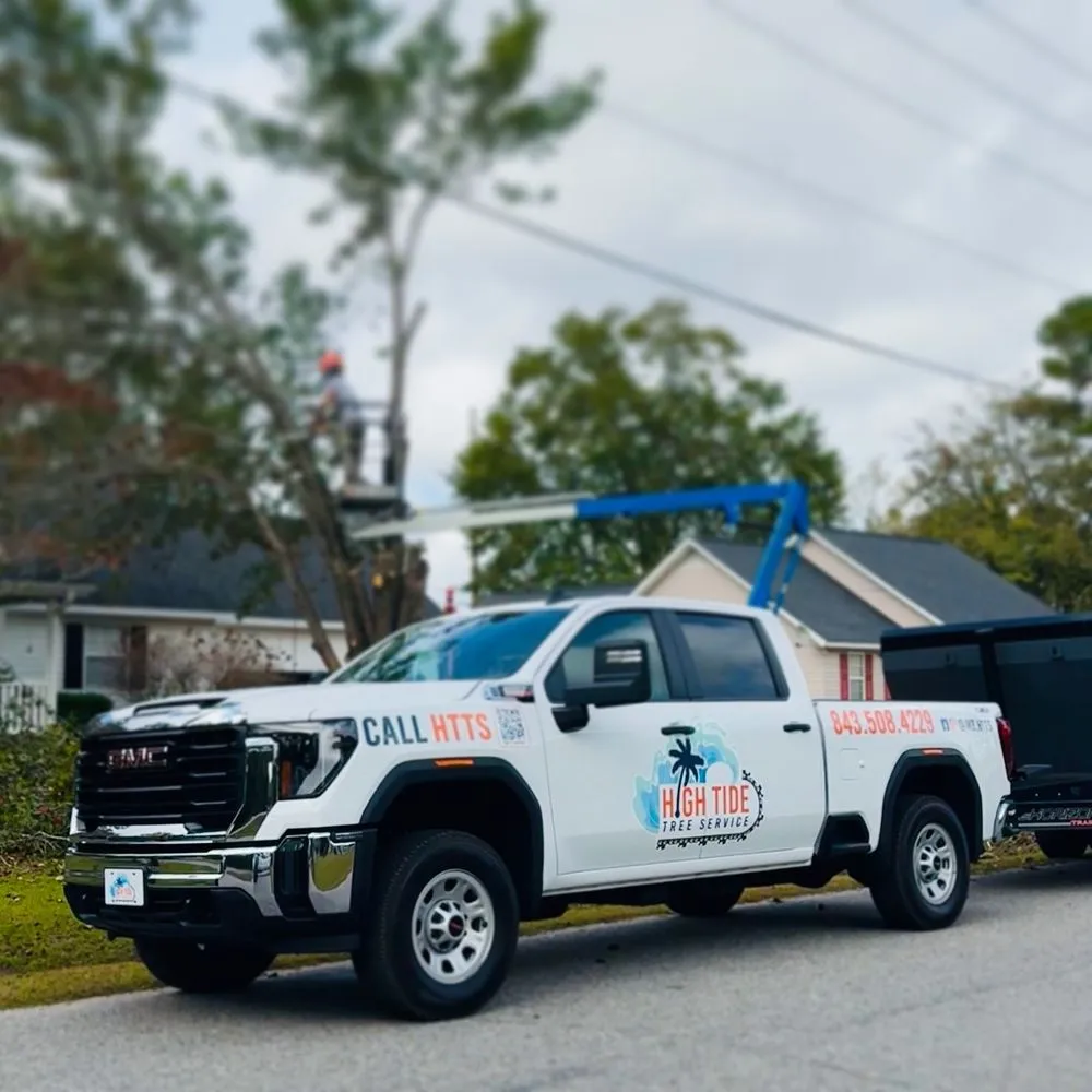 Trusted lawn mowing service experts serving Myrtle Beach, SC - High Tide Tree Service
