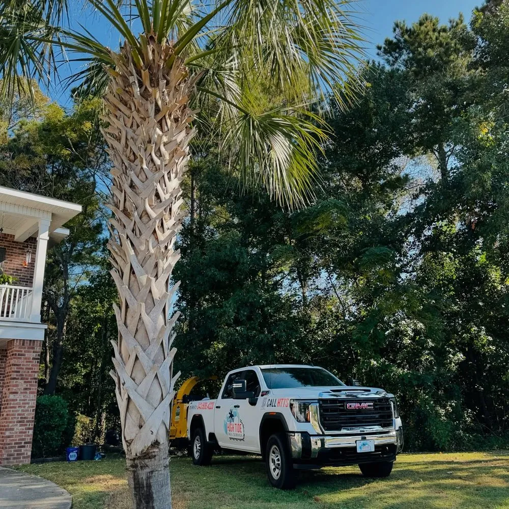 Reliable lawn care service for residential properties across Myrtle Beach, SC - High Tide Tree Service