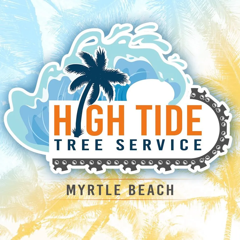 Custom outdoor landscaping for year-round maintenance across Myrtle Beach, SC - High Tide Tree Service