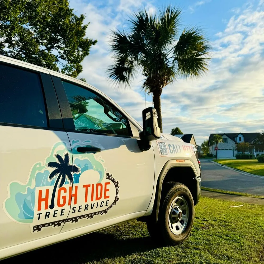 Trusted landscaping services for year-round maintenance across Myrtle Beach, SC - High Tide Tree Service