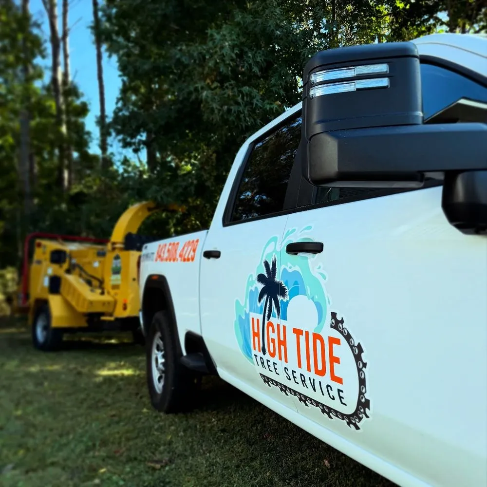 Local yard maintenance for beautiful yards in Myrtle Beach, SC by High Tide Tree Service