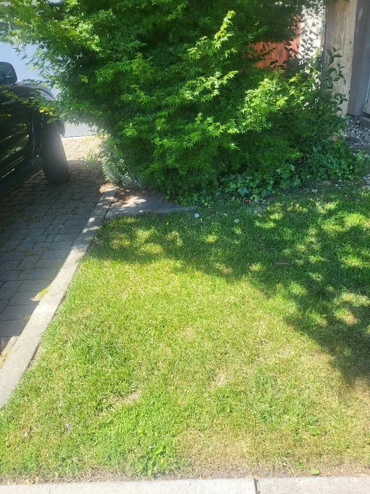 Trusted landscape design experts serving Petaluma, CA - High Valley Landscape Construction