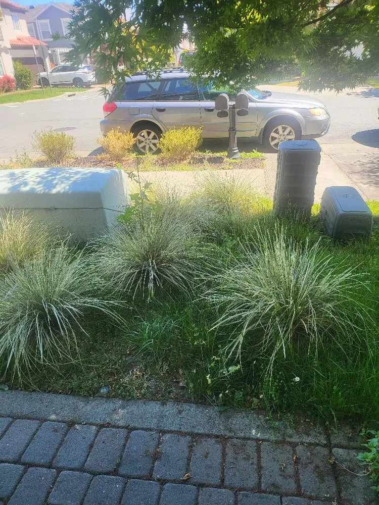 Top-rated lawn care service in Petaluma, CA - High Valley Landscape Construction