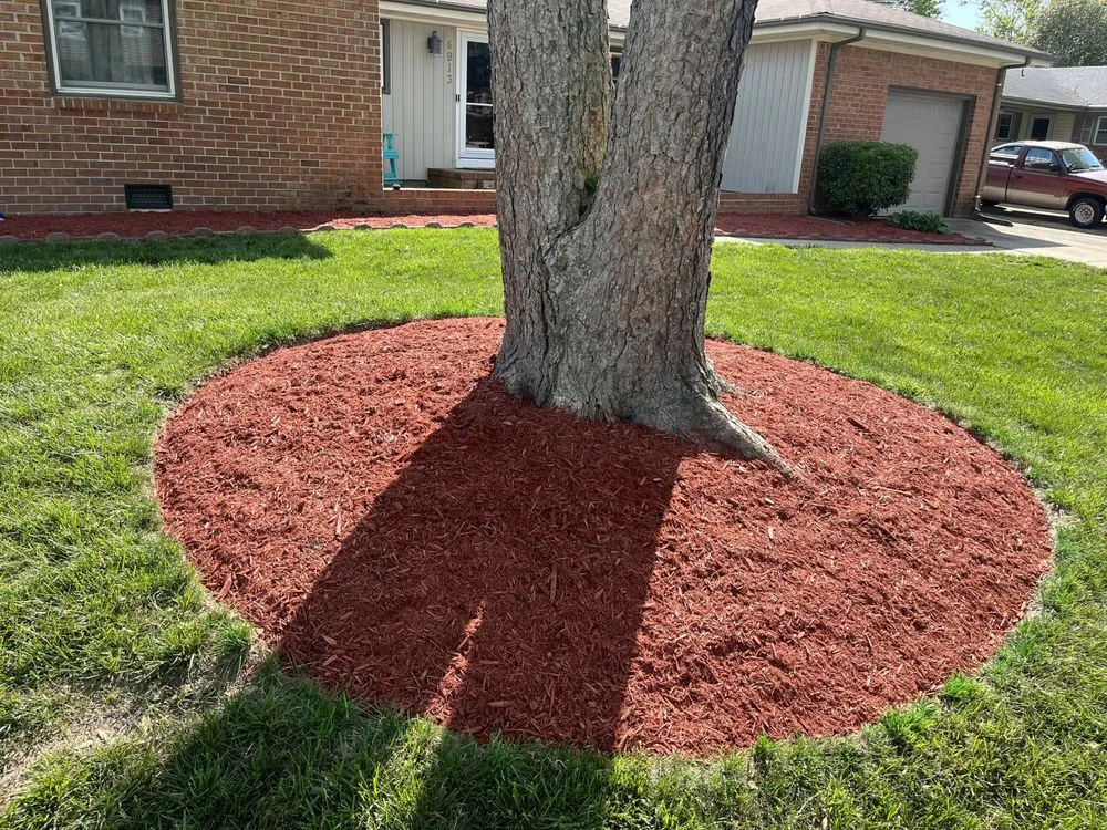 Top-rated yard maintenance experts serving Norfolk, VA - High View Landscaping Services